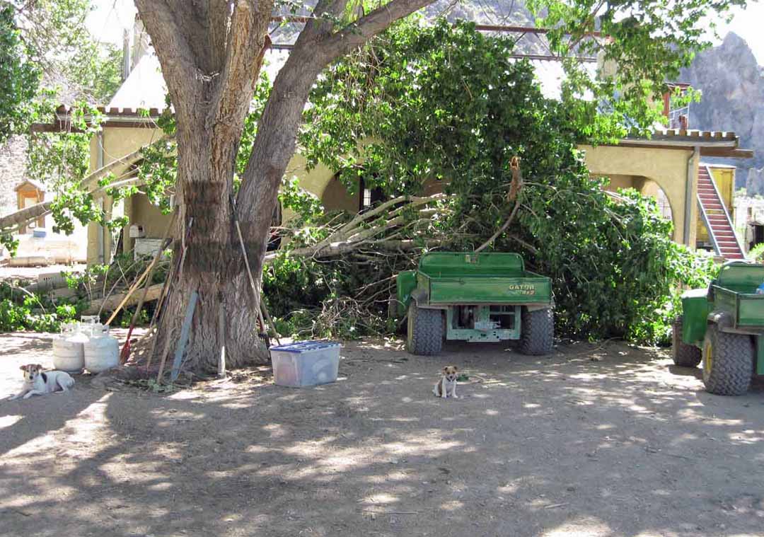 Storm damage can be severe in the high desert.