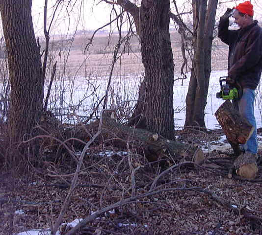 Wood is renewable and salvaging dead decaying logs for fire woord contributes to sustainability.